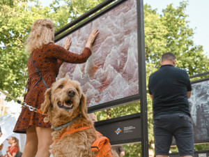 Osahajte si umění: Na Stříbrném rybníku probíhá unikátní výstava Martina Veselého